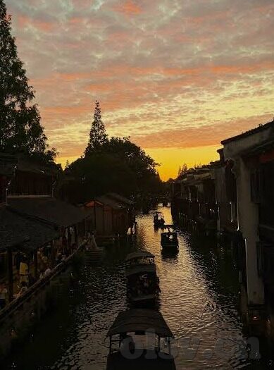 大象回家视频dx导航2022-大象回家，一场由DX导航引领的2022年温暖旅程