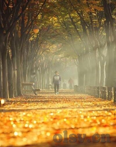 糖心app怎么下载不了了-解密糖心APP下载难题，缘何不能再享便捷？